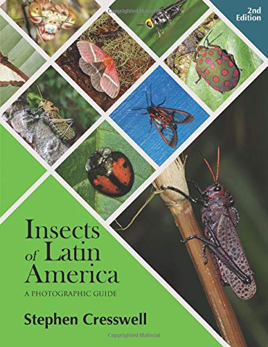 Insects of Latin America: A photographic Guide