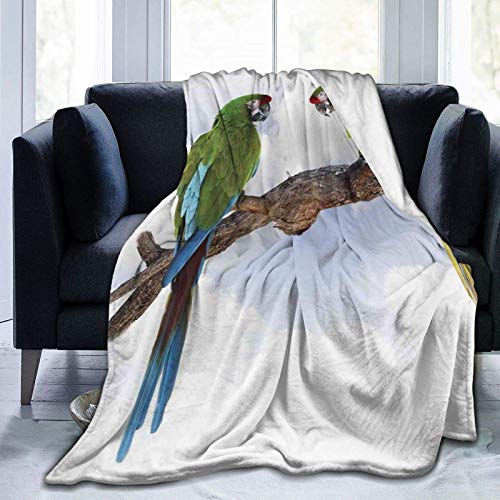 Loro Guacamayo Manta de Microfibra Lanza Rama pájaros parlantes Ultra Suaves y acogedoras Mantas de Franela de Cama de Lujo para bebés / niños / jóvenes 50 'x 40' Loro Guacamayo Manta de Microfibra Lanza Rama pájaros parlantes Ultra Suaves y acogedoras Mantas de Franela de Cama de Lujo para bebés / niños / jóvenes 50 'x 40'