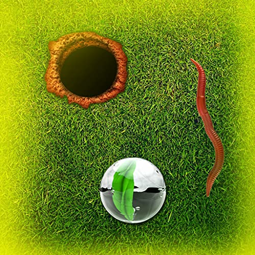 Marble Balls Labyrinth Infinity : The Kid Backyard Worms Playground Game - Free Edition Marble Balls Labyrinth Infinity : The Kid Backyard Worms Playground Game - Free Edition