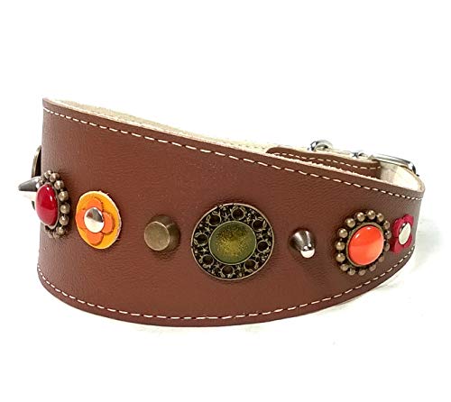 Original Collar de Cuero Marrón para Galgo, Podenco, Whippet y Teckel, Diseño Especial y Elegante con Decoración Naranja, Roja, Amarilla, Verde y Bonitos Pinchos, 45 cm Galgo: Cuello 33-38 cm, Ancho 55mm Original Collar de Cuero Marrón para Galgo, Podenco, Whippet y Teckel, Diseño Especial y Elegante con Decoración Naranja, Roja, Amarilla, Verde y Bonitos Pinchos, 45 cm Galgo: Cuello 33-38 cm, Ancho 55mm