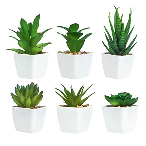 Ouddy 6 Piezas de Plantas Suculentas Artificiales en Macetas, Plantas Suculentas Artificiales Verdes, Utilizadas para Escritorio, Oficina, Sala de Estar y Decoración del Hogar Ouddy 6 Piezas de Plantas Suculentas Artificiales en Macetas, Plantas Suculentas Artificiales Verdes, Utilizadas para Escritorio, Oficina, Sala de Estar y Decoración del Hogar