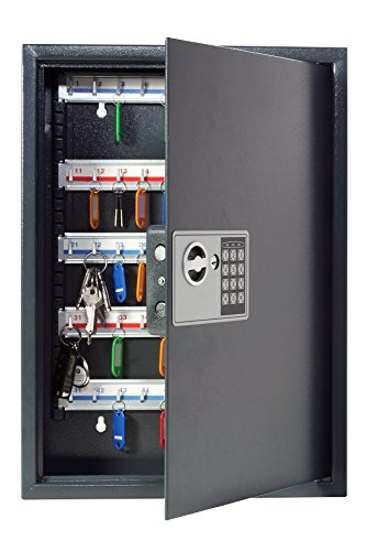 Pavo 8033911 - Caja para llaves de alta seguridad (capacidad para hasta 50 unidades), gris