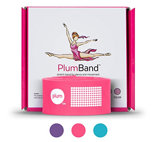 PlumBand - Banda elástica de Ballet para Danza y Gimnasia - Disponible en Varias Tallas - Manual de Instrucciones Impreso y Bolsa de Viaje incluidos (versión en Inglesa) (Rosa, Small)