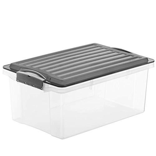 Rotho Compact, Caja de almacenamiento 13l con tapa, Plástico PP sin BPA, gris, transparente, A4, 13l 39.5 x 27.5 x 18.0 cm