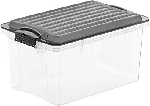 Rotho Compact, Caja de almacenamiento de 4.5 l con tapa, Plástico PP sin BPA, gris, transparente, A5, 45l 27.0 x 18.5 x 15.0 cm
