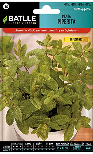 Semillas Aromáticas - Menta Piperita - Batlle Semillas Aromáticas - Menta Piperita - Batlle