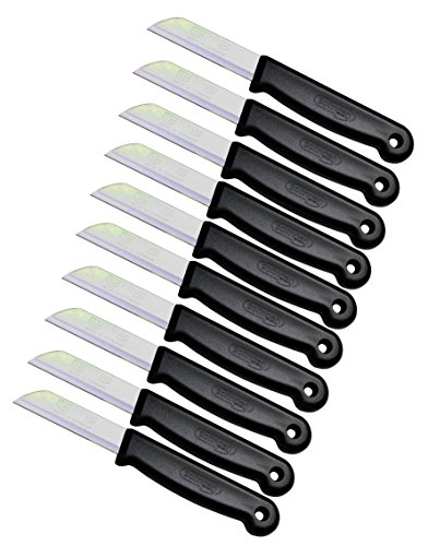 Solingen - Juego de 10 cuchillos de acero inoxidable de 16 cm de longitud total, hoja de 6 cm