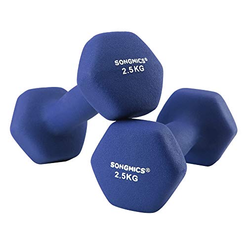 SONGMICS Juego de 2 Mancuernas para Gimnasio y Entrenamiento 2 x 2,5 kg SYL65BU