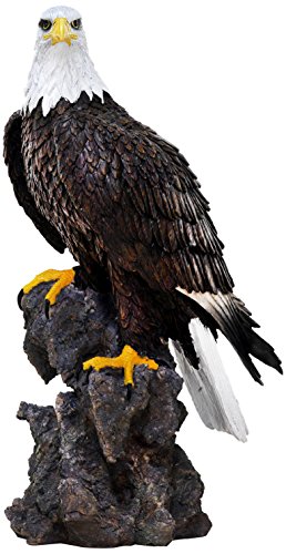 Sunny Toys 14649 - Figura Decorativa (polirresina, 50cm Aprox.), diseño de águila de Cabeza Blanca sobre una Roca