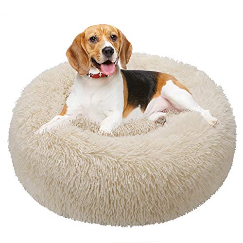 TAMOWA Cama Perro Suave Cama Gato Redonda, Camas de Gatos Perros de Donut con Parte Inferior Antideslizante, Cómodo Suave y Cálida Cama para Mascotas Gatos y Perros Pequeños, 70cm, Beige