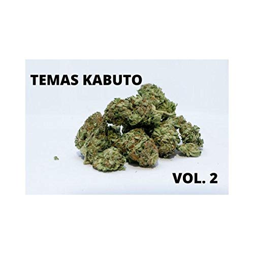 Temas Kabuto, Vol. 2 [Explicit]