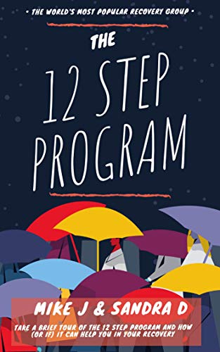 The 12 Step Program: Take a brief tour of the 12 step program and how (or if) it can help you in your recovery (English Edition)