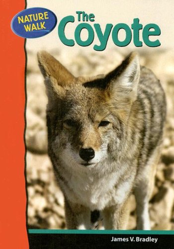 The Coyote (Nature Walk)