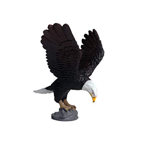 TOYANDONA Modelo de águila de plástico realista, figuras de animales salvajes, estatua de pájaros, escultura, juguete para la escuela en casa, decoración de mesa