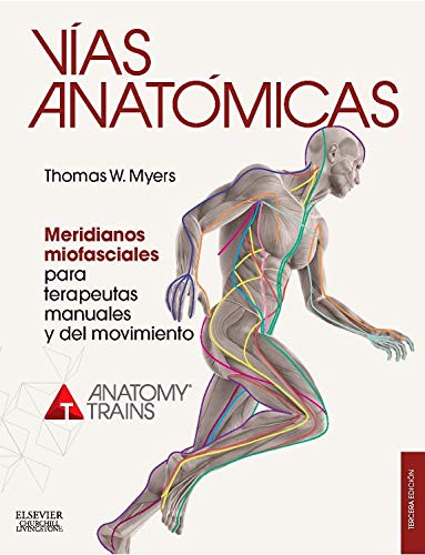 Vías Anatómicas. Meridianos Miofasciales Para Terapeutas Manuales Y Del Movimiento - 3ª edición