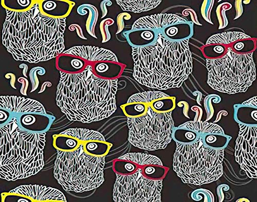 Y·JIANG Pintura hippie por números, diseño de búhos en gafas de sol, lienzo acrílico al óleo por números para adultos y niños, decoración de pared del hogar, 40,6 x 40,6 cm