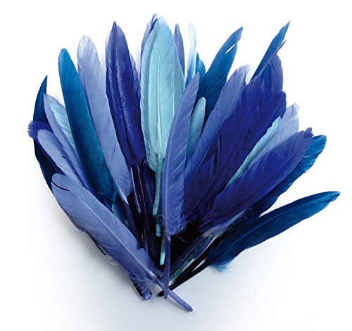 1 bolsa de 10 gramos de plumas indias – Camaïeu azul