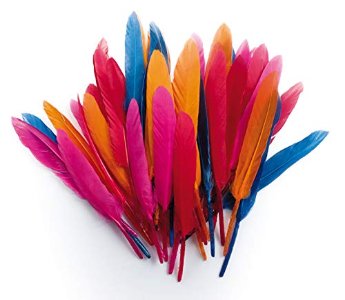 1 bolsa de 10 gramos de plumas indias, colores surtidos