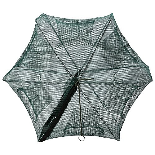 Alomejor Red de Pesca Trampa para Camarones Jaula de Nylon Plegable Cangrejo Trampa para Peces Cremallera con Cremallera Trampa de Langosta Cangrejo (6 Holes) Alomejor Red de Pesca Trampa para Camarones Jaula de Nylon Plegable Cangrejo Trampa para Peces Cremallera con Cremallera Trampa de Langosta Cangrejo (6 Holes)