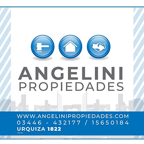 Angelini propiedades 2014