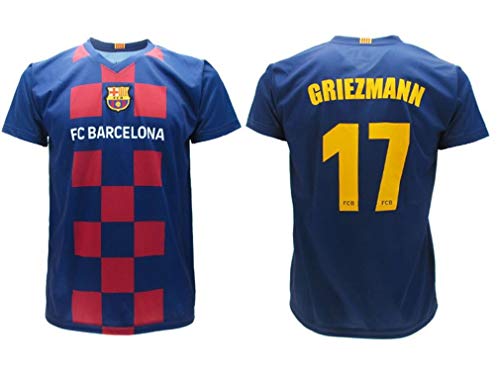 Antoine Griezmann 17 Barcelona FCB Camiseta 2019/2020 Barcellona Barça Réplica Oficial Auténtico Jersey T-Shirt Tamaño Niño (Años 2 4 6 8 10 12 14) y Adulto (S M L XL) (XL Extra Large)