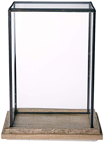 Better & Best 1363254 Urna cristal "Q" base maera de madera y cristal, color: cristal Better & Best 1363254 Urna cristal "Q" base maera de madera y cristal, color: cristal