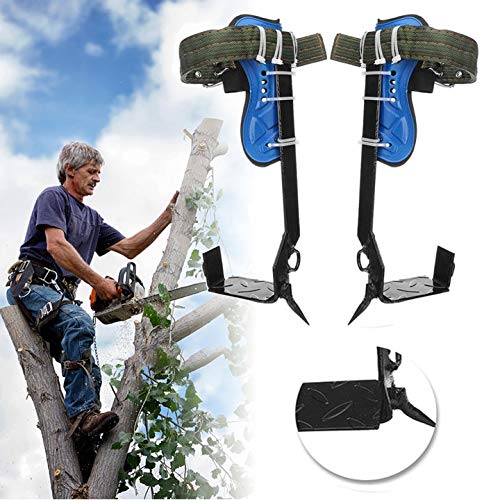 Cabina Home - Juego de pinchos para escalada de árboles (cinturón de seguridad ajustable, cuerda para colgar), 1 diente.
