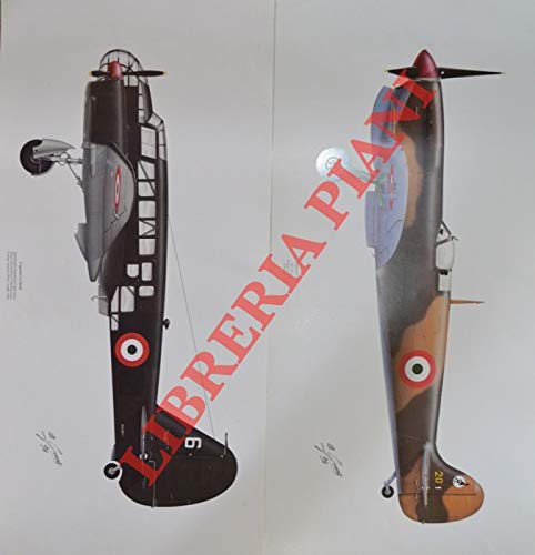 Caproni Ca 314 B - Supermarine Spitfire Mk V C - Reggiana RE 2002 "Ariete" - AerMacchi C 202 "Folgore" - Bell P 39 N-1 "Airacobra" s/n 42-9377 - Martin A 30 Baltimore Mk IV s/n FW425 - Piaggio P. 10