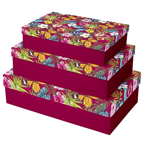 Clairefontaine K-27027-BXC - Juego de 3 cajas rectangulares (medidas: 35 x 26 x 7 cm + 37 x 28 x 9 cm y 39 x 30 x 11 cm), diseño tropical floral