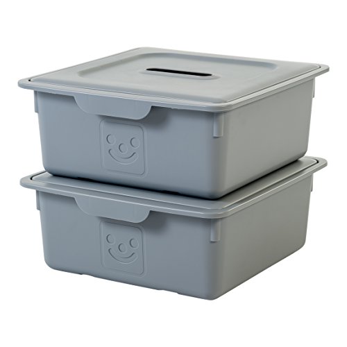 Iris Ohyama, lote de 2 cajas de almacenamiento de juguete con tapa - Smiley Kids Boxes - KDL-330, gris, 10 L, 31,5 x 33 x 13,5 cm Iris Ohyama, lote de 2 cajas de almacenamiento de juguete con tapa - Smiley Kids Boxes - KDL-330, gris, 10 L, 31,5 x 33 x 13,5 cm