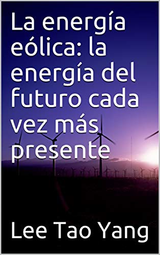 La energía eólica: la energía del futuro cada vez más presente