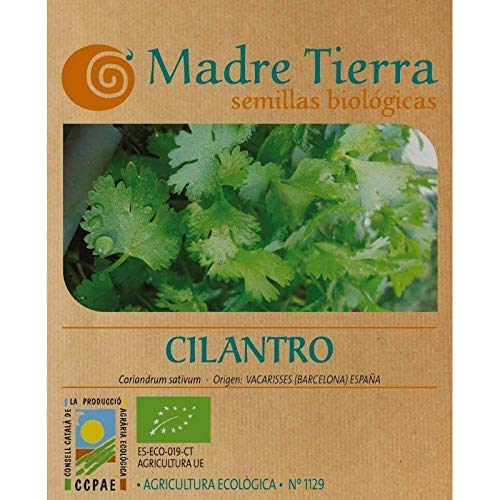 Madre Tierra - Semillas de Cilantro (Coriandrum Sativum) Origen Vacarisses (Barcelona)- Peso Aprox. 1 Gramo