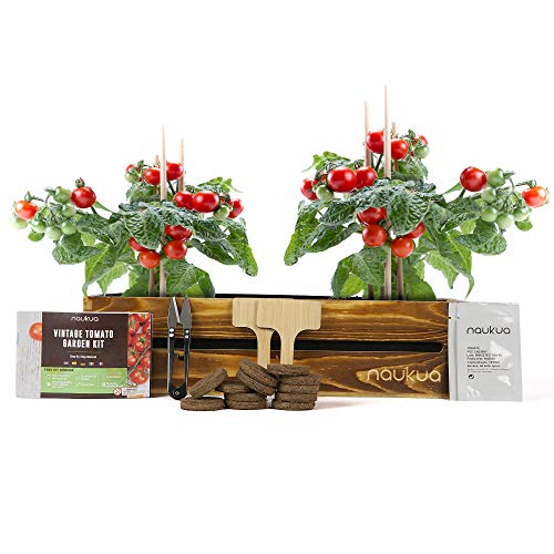 Mini Huerto Urbano Vintage de Tomates Cherry - Semillas Orgánicas de España - Kit Completo para Cultivar Tomates Cherry en Casa. Mini Huerto Urbano Vintage de Tomates Cherry - Semillas Orgánicas de España - Kit Completo para Cultivar Tomates Cherry en Casa.
