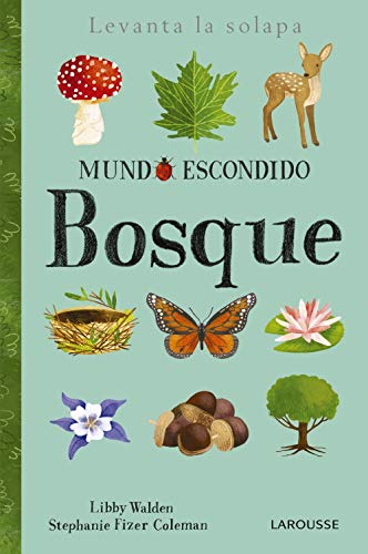 Mundo escondido. Bosque (Larousse - Infantil / Juvenil - Castellano - A Partir De 3 Años - Libros Singulares)