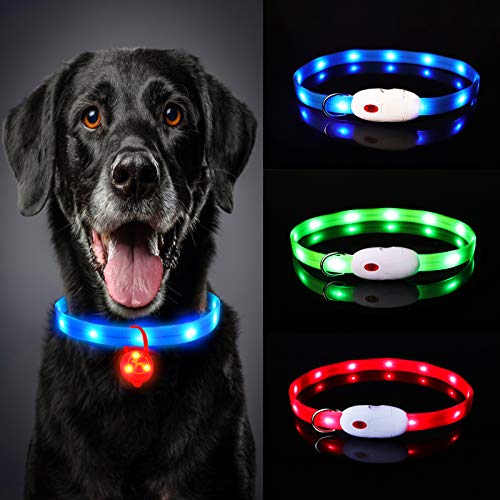 Oladwolf Collar Luminoso Perro, USB Recargable Collar Perro luz Seguro 3 Modos, Collar LED Impermeable Ajustable para Perro y Gato Menos 20kg - Azul Oladwolf Collar Luminoso Perro, USB Recargable Collar Perro luz Seguro 3 Modos, Collar LED Impermeable Ajustable para Perro y Gato Menos 20kg - Azul