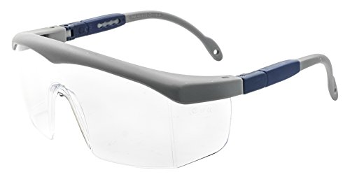 PEGASO 43.9-Gafas Proteccion Gama Anti-Impact Modelo Basic 7 Lente PC Incolora Antivaho, Gris Y Azul, L