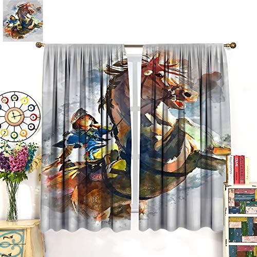 Petpany Hyrule Warrior Zelda Age of Disaster Hot Blood Game Decoración de cortina de lujo 183 x 160 cm, decoración de lujo para comedor, dormitorio
