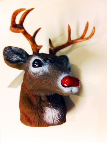 Rivers Edge Woodland-Creek-Valley Rudolph con la nariz roja, cabeza de ciervo para remolque o decoración de botellas.
