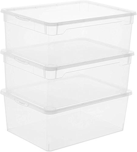 Rotho Clear, Juego de 3 cajas de almacenamiento de 10l con tapa, Plástico PP sin BPA, transparente, 3 x 10l 36.0 x 26.0 x 22.0 cm