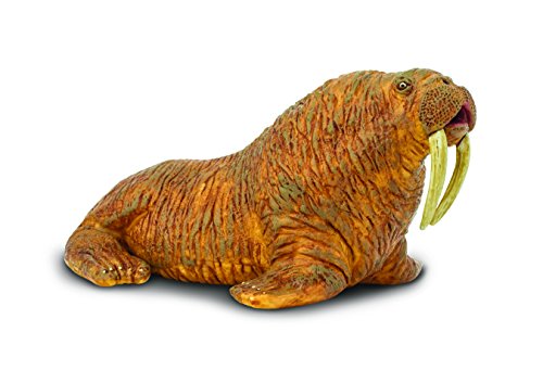 Safari Ltd Wild Safari Sea Life – Walrus – Realistic Hand Painted Toy Figurine Model – Quality Construction from Safe and BPA Free Materials – For Ages 3 and Up