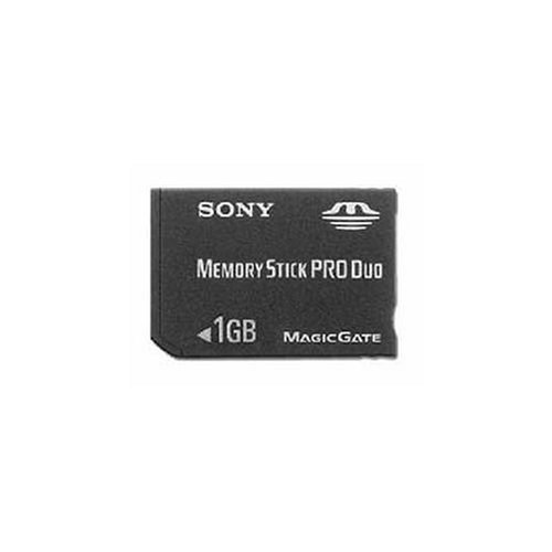 Sony Memory Stick Pro Duo 1GB Memoria Flash - Tarjeta de Memoria (1 GB, Negro)