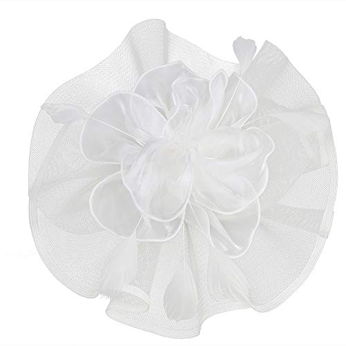 Tocado de malla con plumas y velo de rejilla, tocado para fiestas, sombreros de Ascot, sombreros de flores para las carreras de caballos con pinza y diadema para mujer Tocado de malla con plumas y velo de rejilla, tocado para fiestas, sombreros de Ascot, sombreros de flores para las carreras de caballos con pinza y diadema para mujer