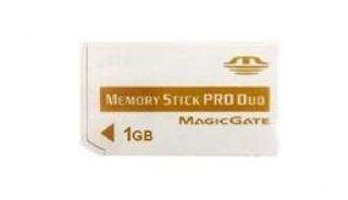 Transcend Memory Stick Pro Duo 1GB Memoria Flash MS - Tarjeta de Memoria (1 GB, MS)