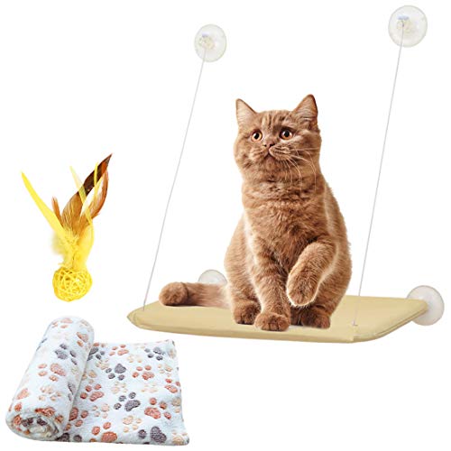 Weichuang Hamaca con Ventosa para Gato con Suave Manta de Gato y Pluma Juquete para Gato Conjunto de Cama y Juguete Interactivo para Gatito