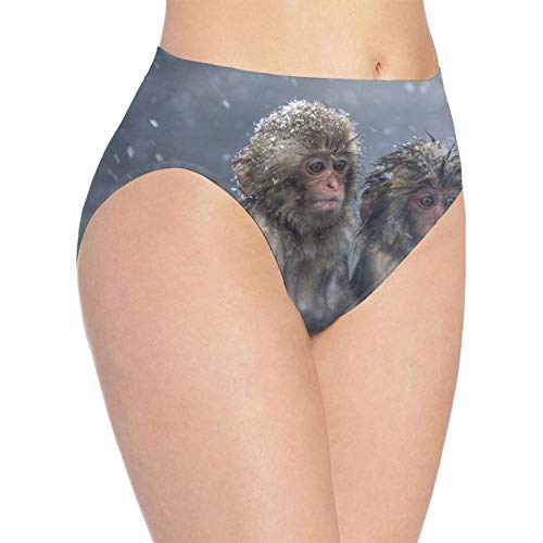 XCNGG Bragas Ropa Interior de Mujer 3D Print Soft Women's Underwear, Winter Lonely Monkey Fashion Flirty Lady'S Panties Briefs Small