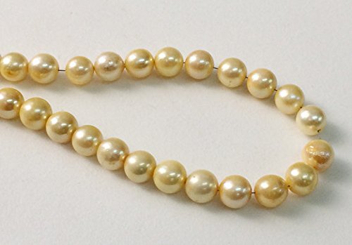 1 Strand Natural Gold South Sea Pearls Cultured, Natural Pearls, Original South Sea Pearls Non Treated Round Balls, 5.5-6.5mm, 8 Inch