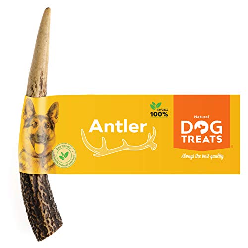 100% Natural Asta de Ciervo para Perro Cuerno Masticar Hueso Juguete, Tamaño Small