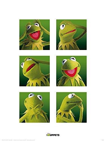 1art1 Muppets - Galería Kermit Póster Impresión Artística (40 x 30cm)