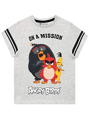 Angry Birds Camiseta de Manga Corta para niños Gris 9-10 Años