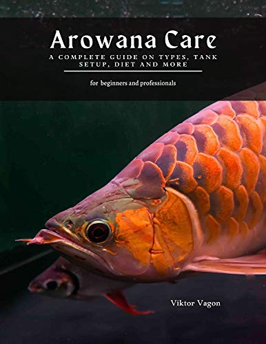 Arowana Care: A Complete Guide on Types, Tank Setup, Diet and More (English Edition)